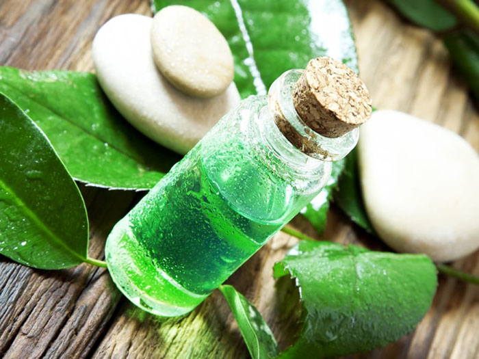 خواص درمانی روغن درخت چای