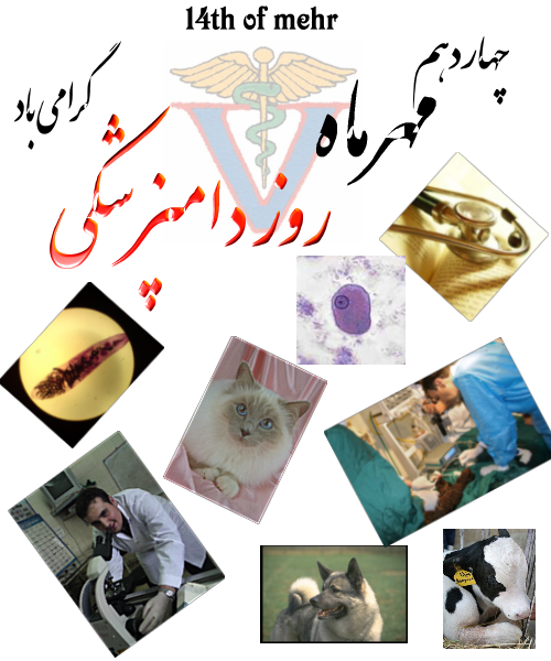 عکس نوشته پروفایل روز دامپزشک، متن و اس ام اس تبریک روز دامپزشک عکس نوشته پروفایل روز دامپزشک، متن و اس ام اس تبریک روز دامپزشک