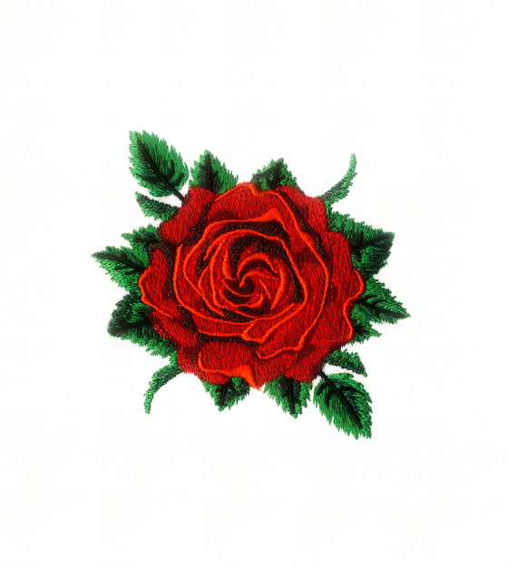 عکس پروفایل گل رز