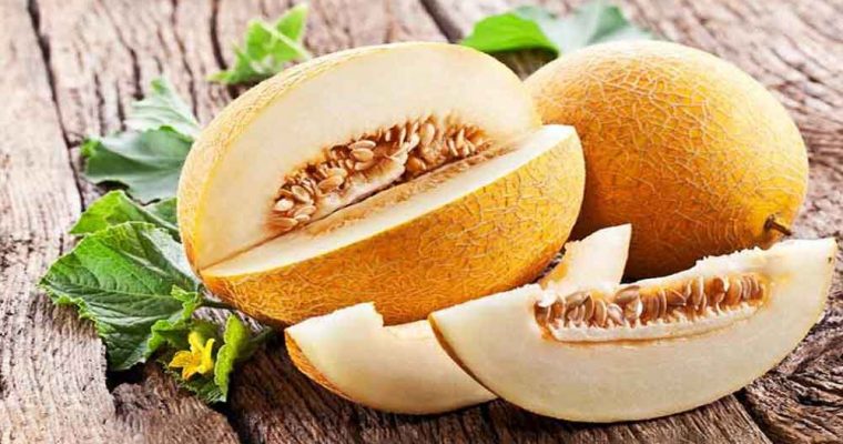 خواص خربزه؛ خواص درمانی و مضرات خربزه کدامند؟