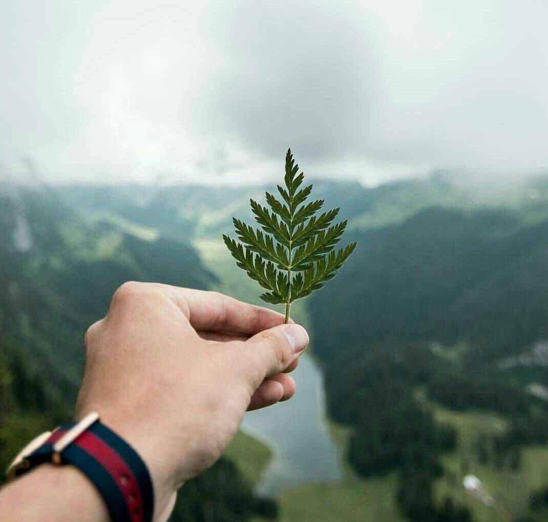عکس بدون نوشته برای پروفایل و استوری عکس بدون نوشته برای پروفایل و استوری