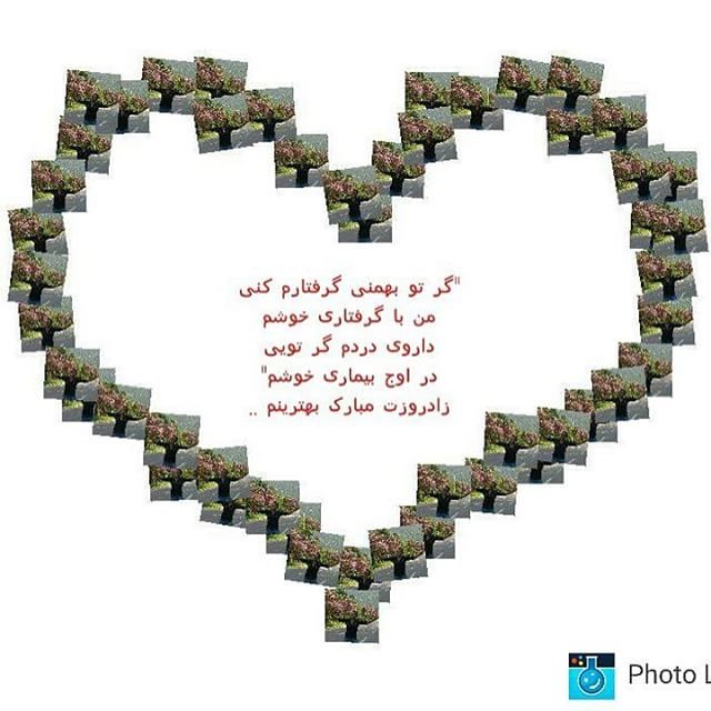 عکس نوشته متولدین بهمن 