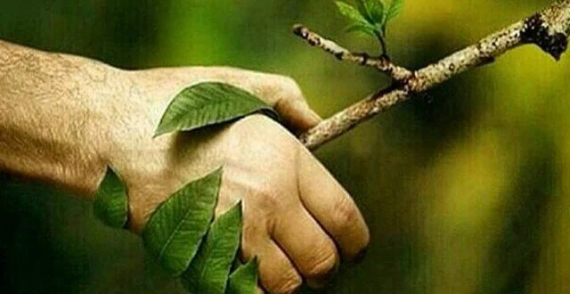 عکس نوشته روز طبیعت 