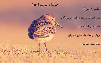 متن در مورد حیوانات متن در مورد حیوانات