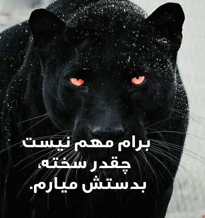 کپشن انگیزشی و انرژی مثبت کپشن انگیزشی و انرژی مثبت
