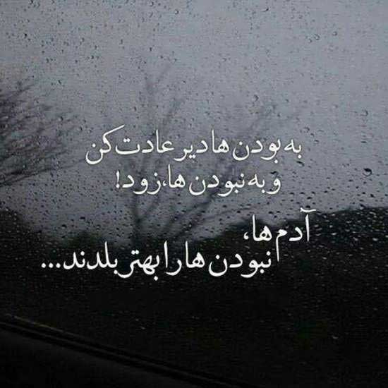 متن ناب متن ناب