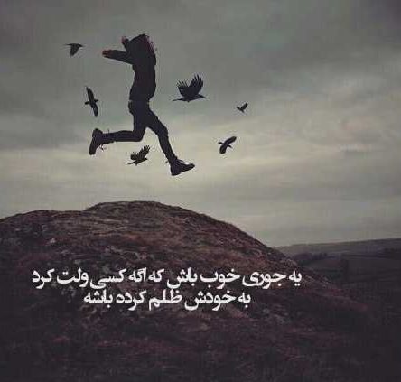 متن ناب متن ناب