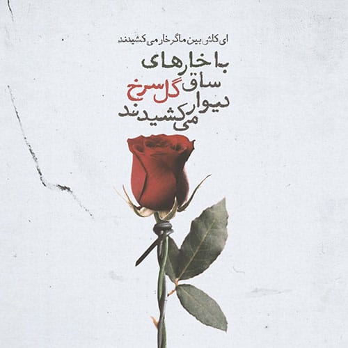 متن زیبا در مورد گل متن زیبا در مورد گل