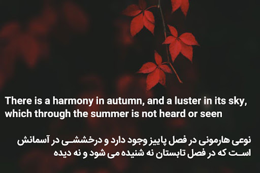 جملات زیبای پاییزی به انگلیسی + متن های احساسی و عاشقانه درباره پاییز 4 automn 2