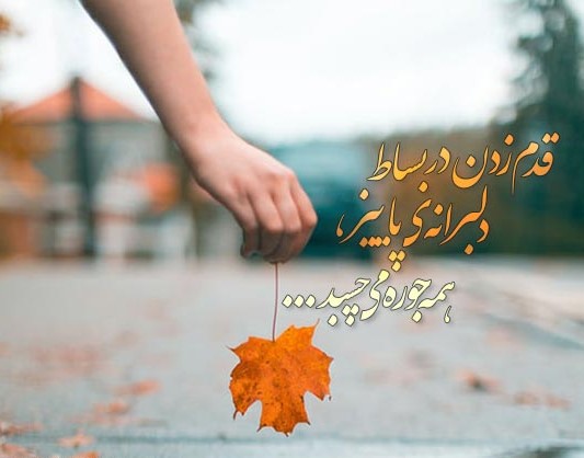 جملات در مورد قدم زدن دو نفره