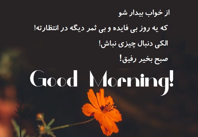 متن صبح بخیر خنده دار و بامزه + جملات با نمک سرکاری صبح بخیر گفتن متن صبح بخیر خنده دار و بامزه + جملات با نمک سرکاری صبح بخیر گفتن