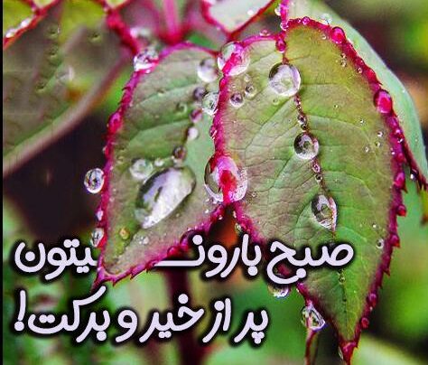 جملات صبح بخیر بارانی جملات صبح بخیر بارانی