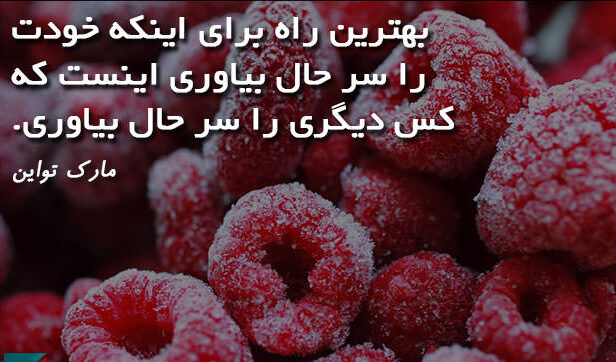 سخنان زیبا و آموزنده مارک تواین