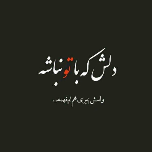 جملات بیوگرافی شیک برای برنامه شاد (جملات کوتاه و تکست بیو برای نرم افزار درسی شاد)