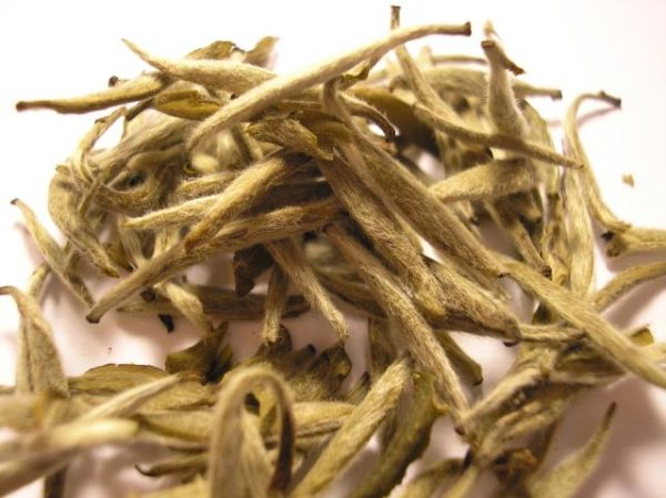 خواص چای سفید