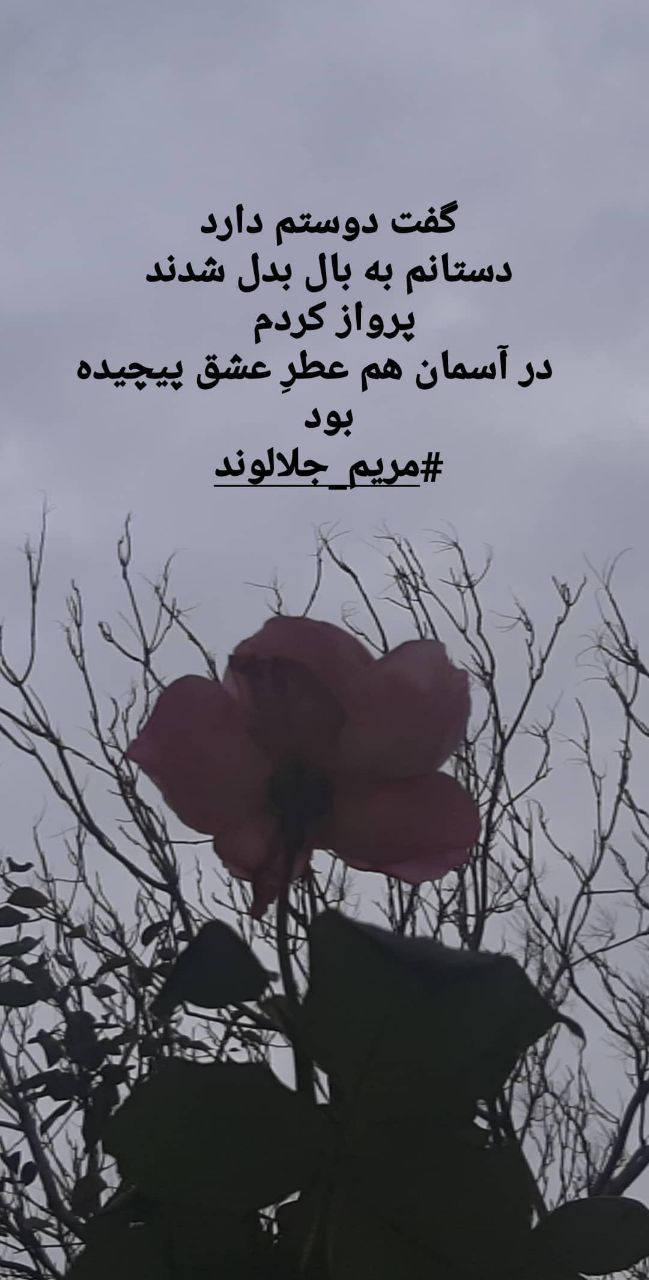اشعار مریم جلالوند اشعار مریم جلالوند