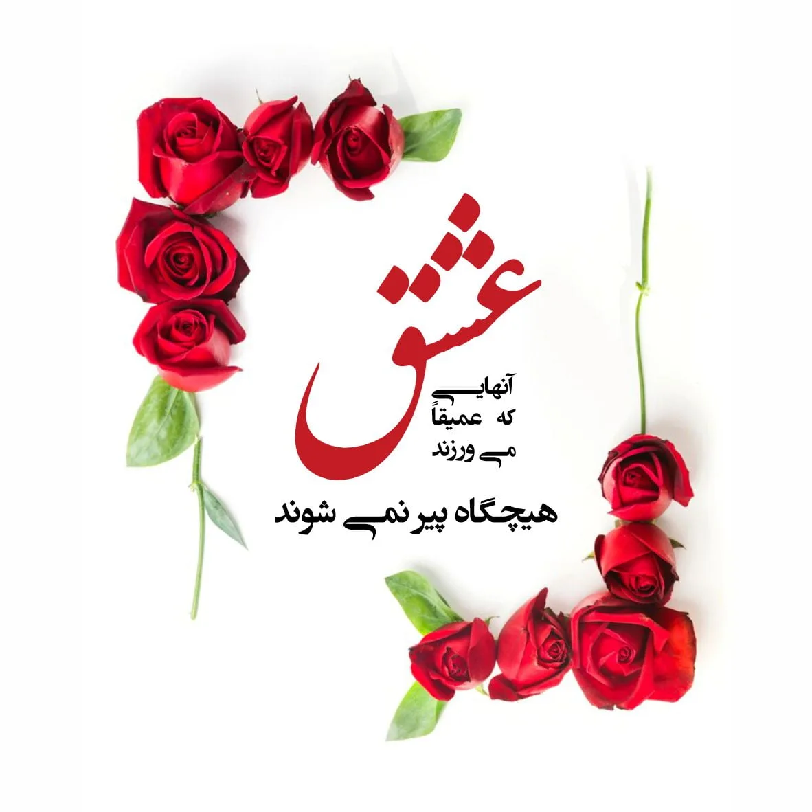 بهترین متن عاشقانه برای عشقم با کمیاب ترین و خاص ترین جملات برای شوهر و خانم 1 بهترین متن عاشقانه برای عشقم با کمیاب ترین و خاص ترین جملات برای شوهر و خانم