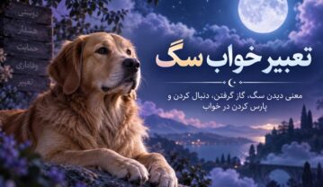 کامل ترین تعبیر خواب سگ و معنای انواع مختلف خواب این حیوان تعبیر خواب سگ
