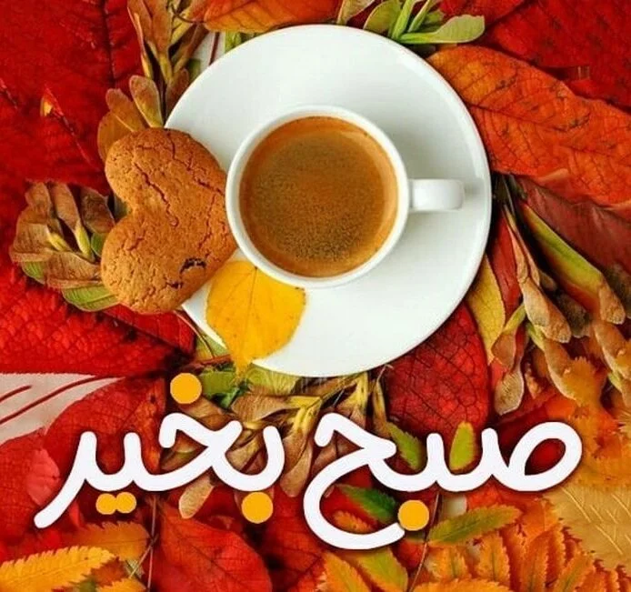 صبح بخیر باکلاس با متن های خاص لاکچری کوتاه شبکه های اجتماعی 3 صبح بخیر باکلاس