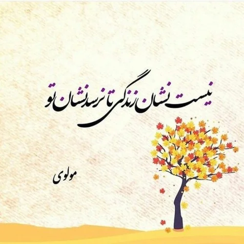 تک بیتی عاشقانه مولانا؛ اشعار عارفانه و احساسی مولانا برای پروفایل و کپشن 2 تک بیت عاشقانه مولانا؛ اشعار عارفانه و احساسی مولانا برای پروفایل و کپشن