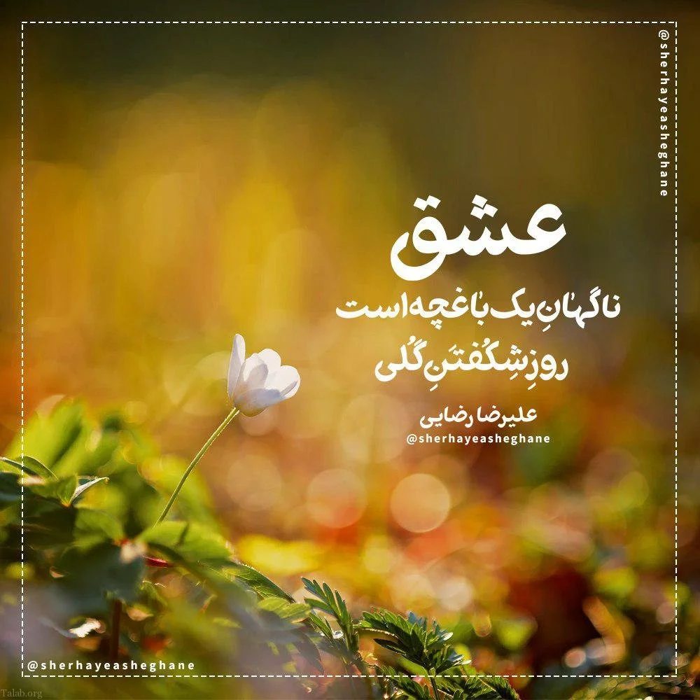 جملات تعریف از عشق و تمجید کردن عاشقانه از همسر 1 جملات تعریف از عشق و تمجید کردن عاشقانه از همسر