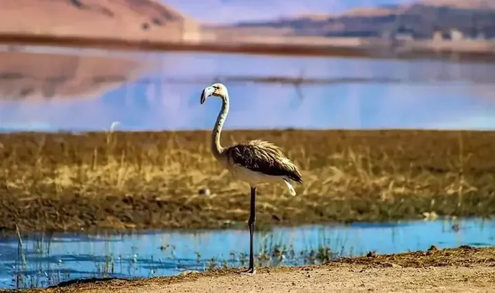 مکان های خنک برای سفر در تابستان؛ مسافرتهای تابستانی به مکانهای خنک