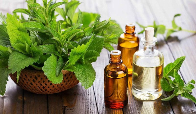 خواص عرق نعنا؛ مزایای مصرف عرق نعنا از تسکین استرس تا تقویت سیستم ایمنی عرق نعنا