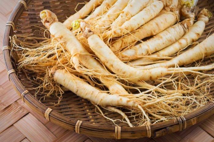 خواص ماسک موی جینسینگ برای زیبایی و لطافت مو 5 ماسک موی جینسینگ