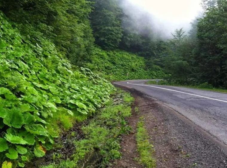 معرفی 20 جاده زیبا در ایران؛ نگاهی به زیباترین جاده های ایران با تصاویر 10 جاده سیاهکل به دیلمان