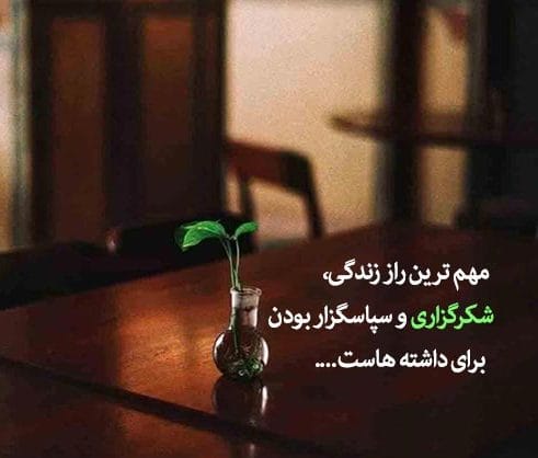 متن شکرگزاری روزانه خداوند؛ جملات کوتاه سپس از پروردگار
