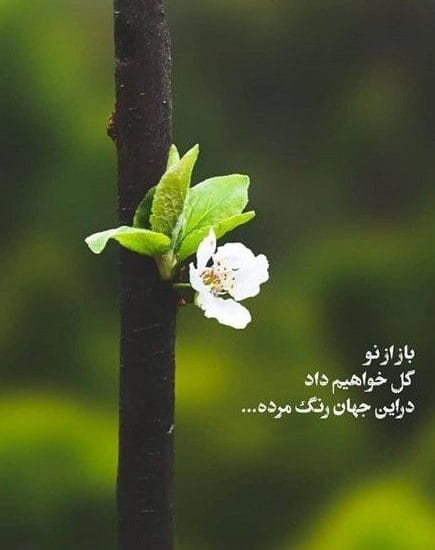 استوری انگیزشی کوتاه؛ بهترین متن های انگیزه دهنده خاص