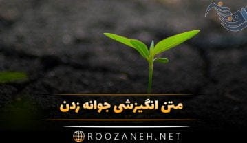 کپشن جوانه زدن و جملات انگیزشی جالب از نو رشد کردن و شکوفا شدن کپشن جوانه زدن