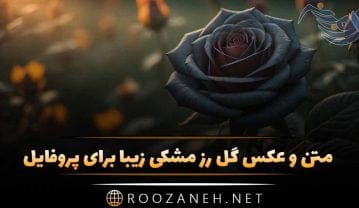 عکس گل رز مشکی زیبا برای پروفایل + تصاویر 30 گل زیبای رز عاشقانه سیاه عکس گل رز مشکی زیبا برای پروفایل