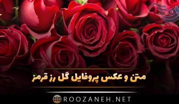 عکس پروفایل گل رز