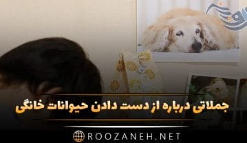 جملاتی درباره از دست دادن حیوانات خانگی؛ متن های غم انگیز برای پت جملاتی درباره از دست دادن حیوانات خانگی