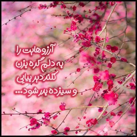 اشعار زیبا و احساسی سیزده بدر