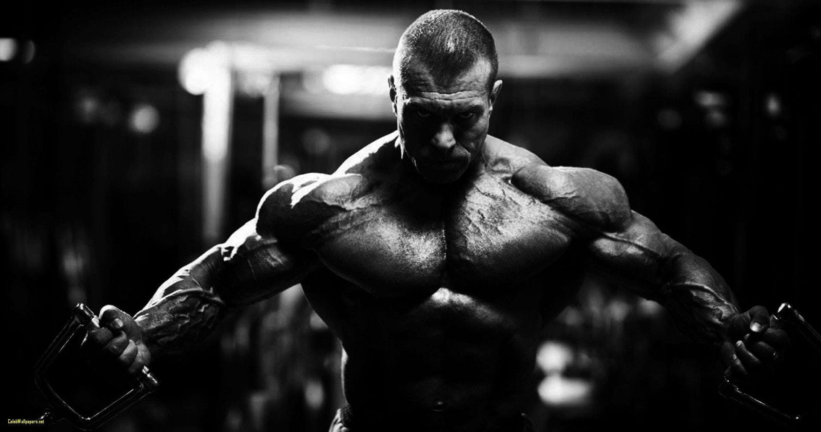 Workout Wallpaper 01 1600 x 843
