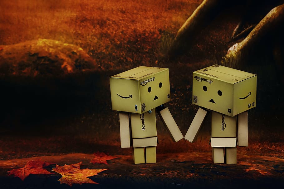 danbo love romantic connectedness