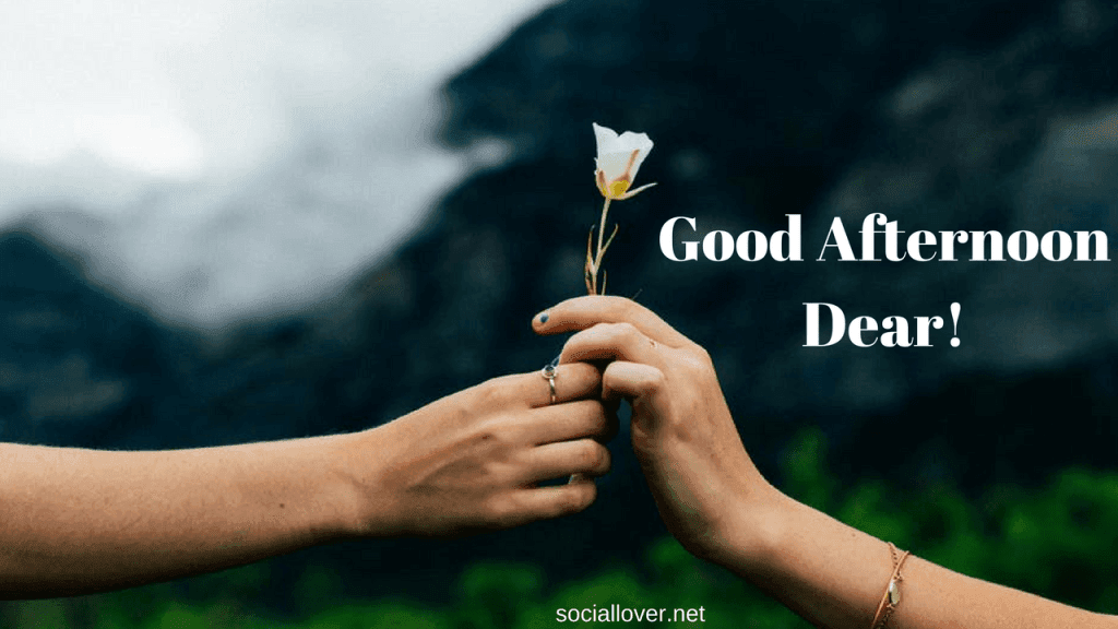 متن عصر بخیر عاشقانه برای عشق + جملات زیبای احساسی عصر بخیر گفتن 6 e70dd524a8521654e3dea2affbacb60d