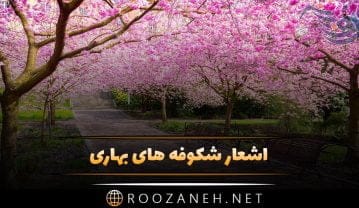 اشعار شکوفه های بهاری و مجموعه شعر سرسبزی و زیبایی بهار اشعار شکوفه های بهاری