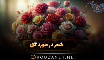 شعر در مورد گل + مجموعه اشعار زیبا و عاشقانه در مورد گل و زیبایی آن