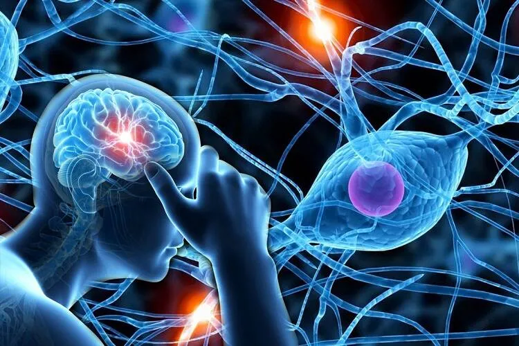 همه چیز درباره بیماری ام اس؛ علائم و نحوه درمان و راهکارهای کنترل MS 7 3593486