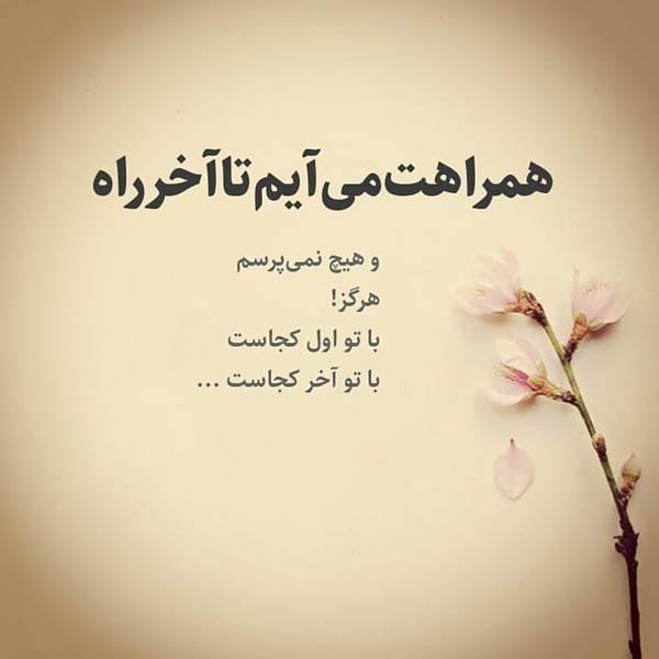 گزیده اشعار عاشقانه شاملو + آثار ادبی و مجموعه شعر احمد شاملو شاعر معاصر کشور 3 552719 163