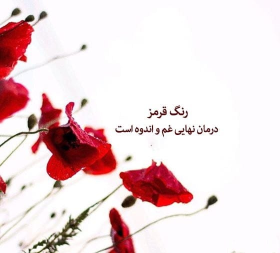 شعر و متن درباره رنگ قرمز ( جملات زیبا و احساسی در رنگ قرمز ) 3 شعرهای زیبا درباره رنگ قرمز