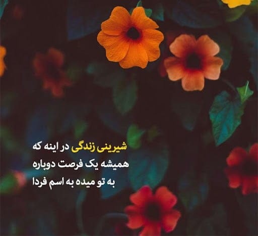 متن در مورد شیرینی زندگی؛ جملات درباره زندگی لذت بخش و ایده آل 3 متن در مورد شیرینی زندگی