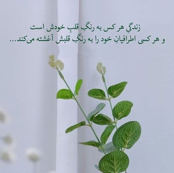 متن آموزنده خاص (جملات ویژه آموزنده زیبا از بزرگان) 4 متن آموزنده خاص و عالی