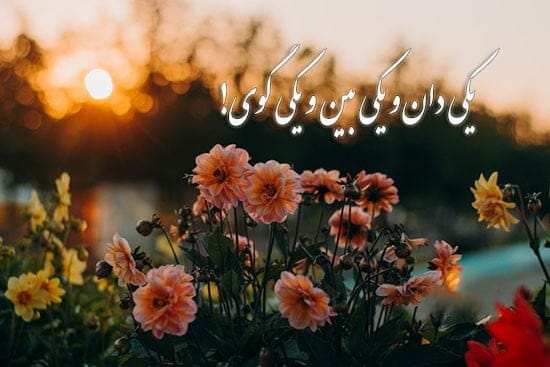 اشعار عاشقانه و احساسی جامی