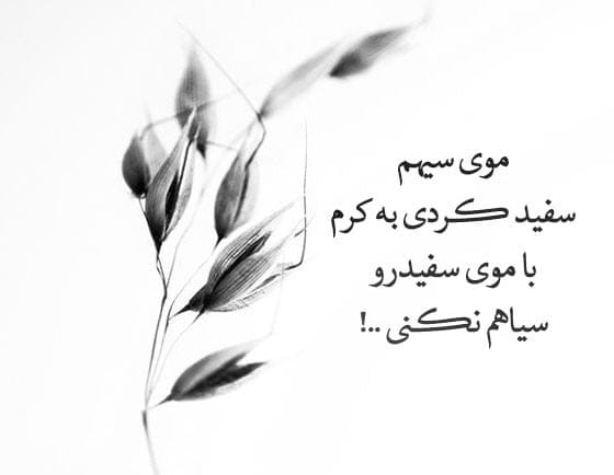 شعر و متن درباره رنگ سفید (جملات و عکس نوشته در مورد رنگ سفید زیبا) 6 شعر درباره رنگ سفید
