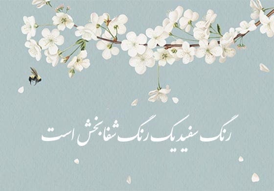 شعر و متن درباره رنگ سفید (جملات و عکس نوشته در مورد رنگ سفید زیبا) 2 متنهای زیبا درباره رنگ سفید