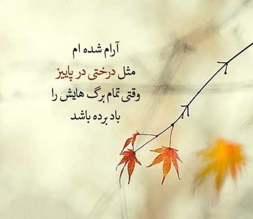 اشعار زیبا در مورد خزان